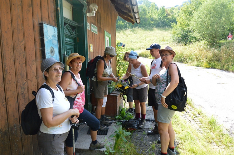 Mariazell-Wallfahrt 19./20. Juli 2014