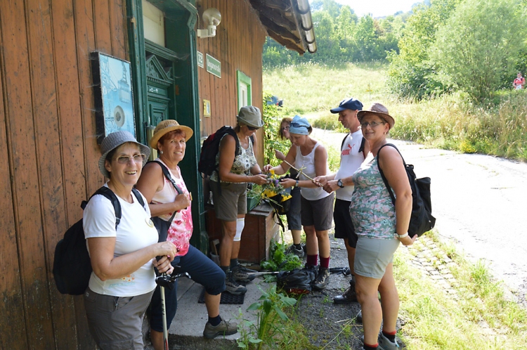 Mariazell-Wallfahrt 19./20. Juli 2014