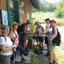 Mariazell-Wallfahrt 19./20. Juli 2014