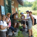 Mariazell-Wallfahrt 19./20. Juli 2014