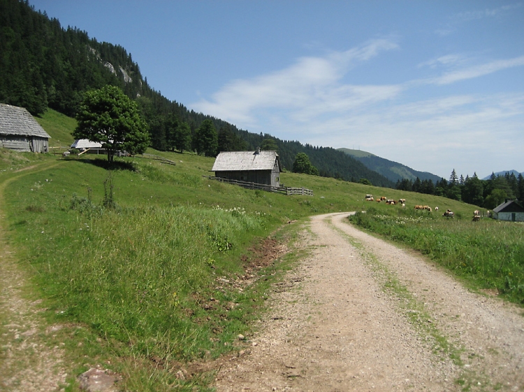 Mariazell-Wallfahrt 18./19. Juli 2015